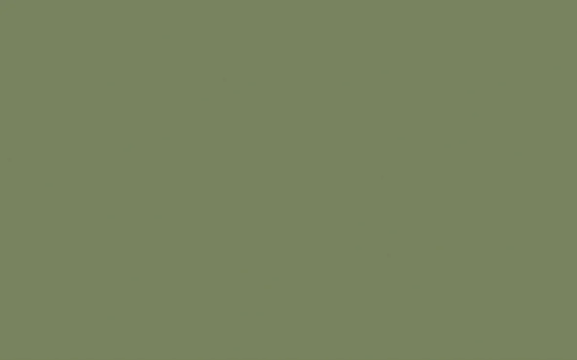 Little Greene Interior Oil Eggshell (5L) - Image 40