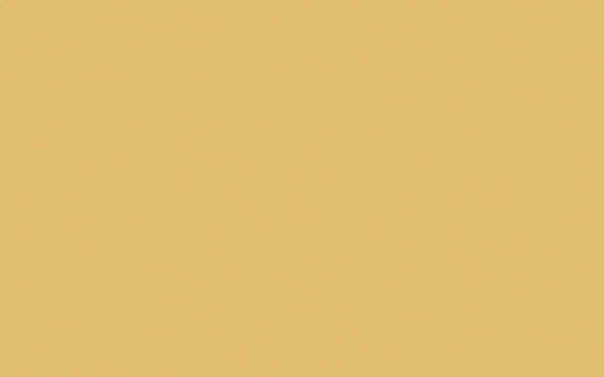 Little Greene Toms Oil Eggshell Paint (1L) - Image 26